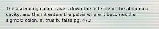 The ascending colon travels down the left side of the abdominal cavity, and then it enters the pelvis where it becomes the sigmoid colon. a. true b. false pg. 473