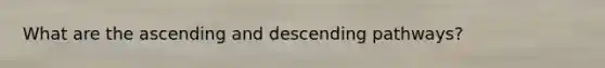 What are the ascending and descending pathways?