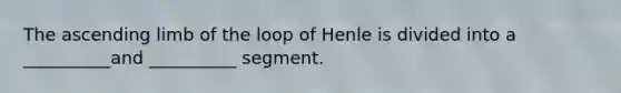 The ascending limb of the loop of Henle is divided into a __________and __________ segment.