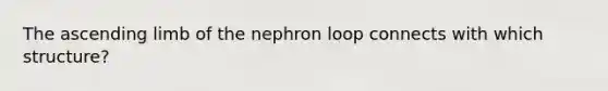 The ascending limb of the nephron loop connects with which structure?