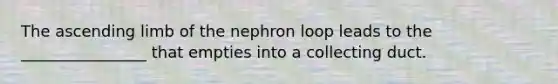 The ascending limb of the nephron loop leads to the ________________ that empties into a collecting duct.