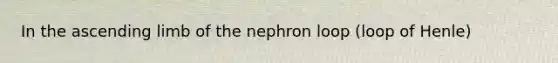 In the ascending limb of the nephron loop (loop of Henle)