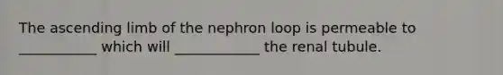 The ascending limb of the nephron loop is permeable to ___________ which will ____________ the renal tubule.