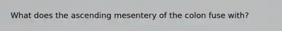 What does the ascending mesentery of the colon fuse with?