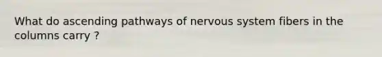 What do ascending pathways of nervous system fibers in the columns carry ?