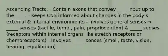 Ascending Tracts: - Contain axons that convey ____ input up to the ____. - Keeps CNS informed about changes in the body's external & internal environments - Involves general senses → _____ senses (tactile, temp., pain, proprioception) & _____ senses (receptors within internal organs like stretch receptors or chemoreceptors) - Involves _____ senses (smell, taste, vision, hearing, equilibrium)