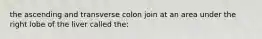 the ascending and transverse colon join at an area under the right lobe of the liver called the: