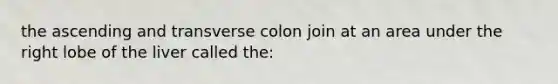 the ascending and transverse colon join at an area under the right lobe of the liver called the: