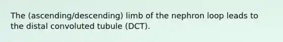 The (ascending/descending) limb of the nephron loop leads to the distal convoluted tubule (DCT).