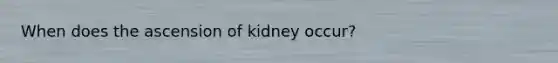 When does the ascension of kidney occur?