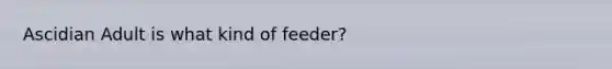 Ascidian Adult is what kind of feeder?