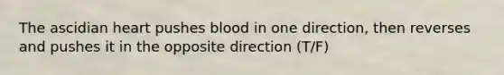 The ascidian heart pushes blood in one direction, then reverses and pushes it in the opposite direction (T/F)