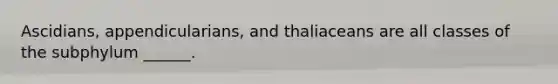 Ascidians, appendicularians, and thaliaceans are all classes of the subphylum ______.