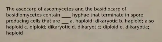 The ascocarp of ascomycetes and the basidiocarp of basidiomycetes contain ____ hyphae that terminate in spore producing cells that are ___ a. haploid; dikaryotic b. haploid; also haploid c. diploid; dikaryotic d. dikaryotic; diploid e. dikaryotic; haploid