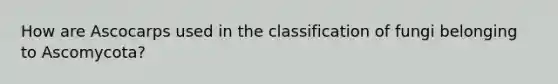 How are Ascocarps used in the classification of fungi belonging to Ascomycota?