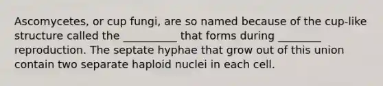 Ascomycetes, or cup fungi, are so named because of the cup-like structure called the __________ that forms during ________ reproduction. The septate hyphae that grow out of this union contain two separate haploid nuclei in each cell.