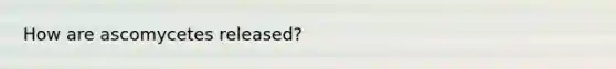 How are ascomycetes released?