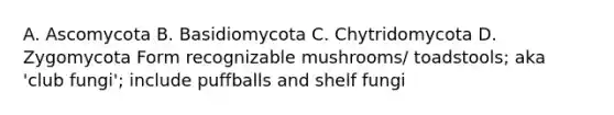 A. Ascomycota B. Basidiomycota C. Chytridomycota D. Zygomycota Form recognizable mushrooms/ toadstools; aka 'club fungi'; include puffballs and shelf fungi