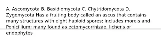 A. Ascomycota B. Basidiomycota C. Chytridomycota D. Zygomycota Has a fruiting body called an ascus that contains many structures with eight haploid spores; includes morels and Penicillium; many found as ectomycorrhizae, lichens or endophytes