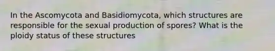 In the Ascomycota and Basidiomycota, which structures are responsible for the sexual production of spores? What is the ploidy status of these structures