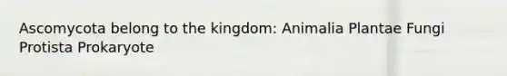Ascomycota belong to the kingdom: Animalia Plantae Fungi Protista Prokaryote