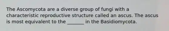 The Ascomycota are a diverse group of fungi with a characteristic reproductive structure called an ascus. The ascus is most equivalent to the _______ in the Basidiomycota.