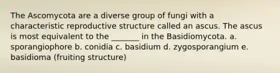 The Ascomycota are a diverse group of fungi with a characteristic reproductive structure called an ascus. The ascus is most equivalent to the _______ in the Basidiomycota. a. sporangiophore b. conidia c. basidium d. zygosporangium e. basidioma (fruiting structure)