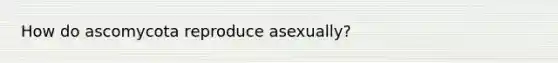 How do ascomycota reproduce asexually?