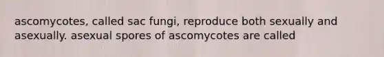 ascomycotes, called sac fungi, reproduce both sexually and asexually. asexual spores of ascomycotes are called