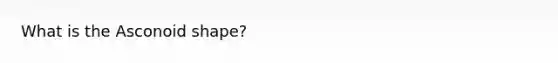 What is the Asconoid shape?