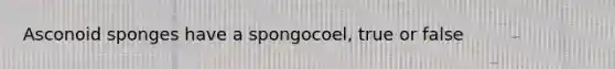 Asconoid sponges have a spongocoel, true or false