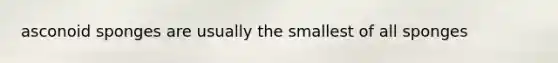 asconoid sponges are usually the smallest of all sponges