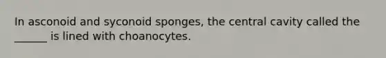 In asconoid and syconoid sponges, the central cavity called the ______ is lined with choanocytes.