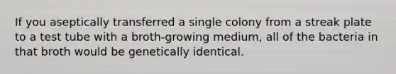 If you aseptically transferred a single colony from a streak plate to a test tube with a broth-growing medium, all of the bacteria in that broth would be genetically identical.