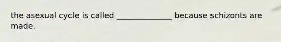 the asexual cycle is called ______________ because schizonts are made.