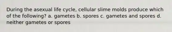 During the asexual life cycle, cellular slime molds produce which of the following? a. gametes b. spores c. gametes and spores d. neither gametes or spores