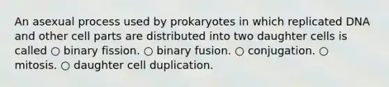 An asexual process used by prokaryotes in which replicated DNA and other cell parts are distributed into two daughter cells is called ○ binary fission. ○ binary fusion. ○ conjugation. ○ mitosis. ○ daughter cell duplication.