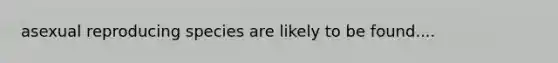 asexual reproducing species are likely to be found....