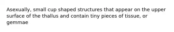 Asexually, small cup shaped structures that appear on the upper surface of the thallus and contain tiny pieces of tissue, or gemmae