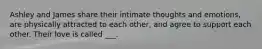 Ashley and James share their intimate thoughts and emotions, are physically attracted to each other, and agree to support each other. Their love is called ___.