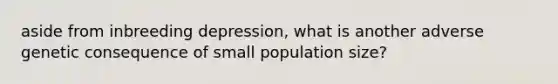 aside from inbreeding depression, what is another adverse genetic consequence of small population size?