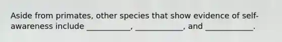 Aside from primates, other species that show evidence of self-awareness include ___________, ____________, and ____________.