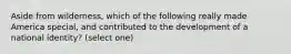 Aside from wilderness, which of the following really made America special, and contributed to the development of a national identity? (select one)