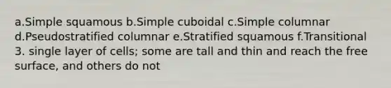 a.Simple squamous b.Simple cuboidal c.Simple columnar d.Pseudostratified columnar e.Stratified squamous f.Transitional 3. single layer of cells; some are tall and thin and reach the free surface, and others do not