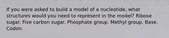 If you were asked to build a model of a nucleotide, what structures would you need to represent in the model? Ribose sugar. Five carbon sugar. Phosphate group. Methyl group. Base. Codon.