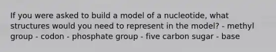 If you were asked to build a model of a nucleotide, what structures would you need to represent in the model? - methyl group - codon - phosphate group - five carbon sugar - base