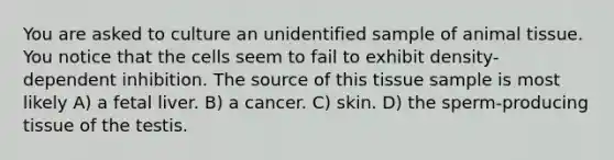 You are asked to culture an unidentified sample of animal tissue. You notice that the cells seem to fail to exhibit density-dependent inhibition. The source of this tissue sample is most likely A) a fetal liver. B) a cancer. C) skin. D) the sperm-producing tissue of the testis.