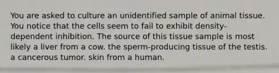 You are asked to culture an unidentified sample of animal tissue. You notice that the cells seem to fail to exhibit density-dependent inhibition. The source of this tissue sample is most likely a liver from a cow. the sperm-producing tissue of the testis. a cancerous tumor. skin from a human.