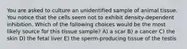 You are asked to culture an unidentified sample of animal tissue. You notice that the cells seem not to exhibit density-dependent inhibition. Which of the following choices would be the most likely source for this tissue sample? A) a scar B) a cancer C) the skin D) the fetal liver E) the sperm-producing tissue of the testis