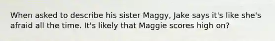 When asked to describe his sister Maggy, Jake says it's like she's afraid all the time. It's likely that Maggie scores high on?